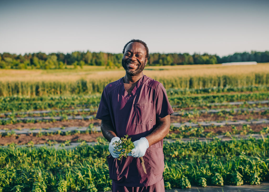 Nathaniel harvesting herbs