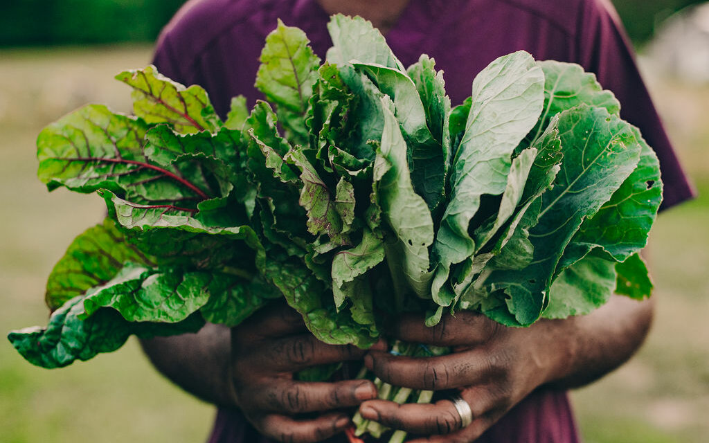 Nathaniel holding a bundle of greens
