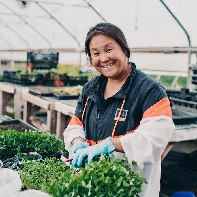 person smiling trimming micro greens inside a hoop house. bright green plants, blue gloves, and cool cool windbreaker