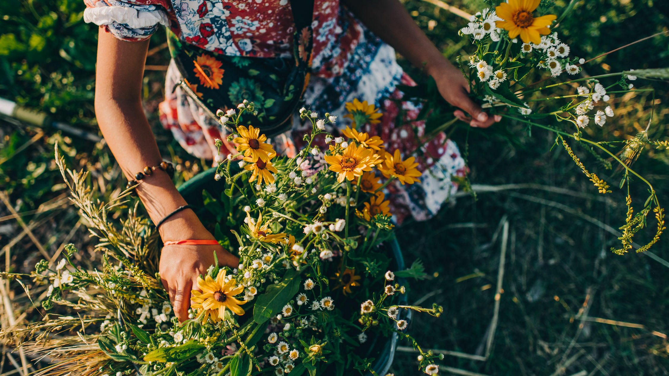 a young hand holding bouquet of yellow daisies and small white daisies